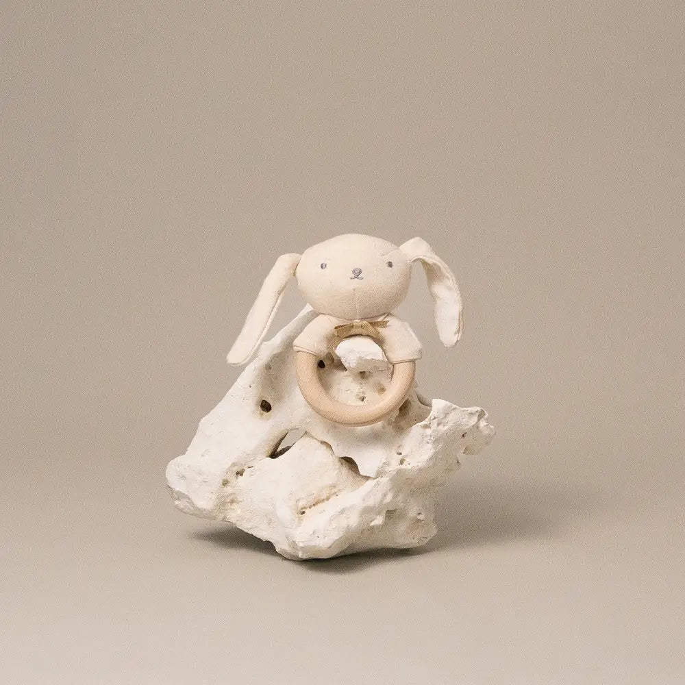 Babyrassel Hase