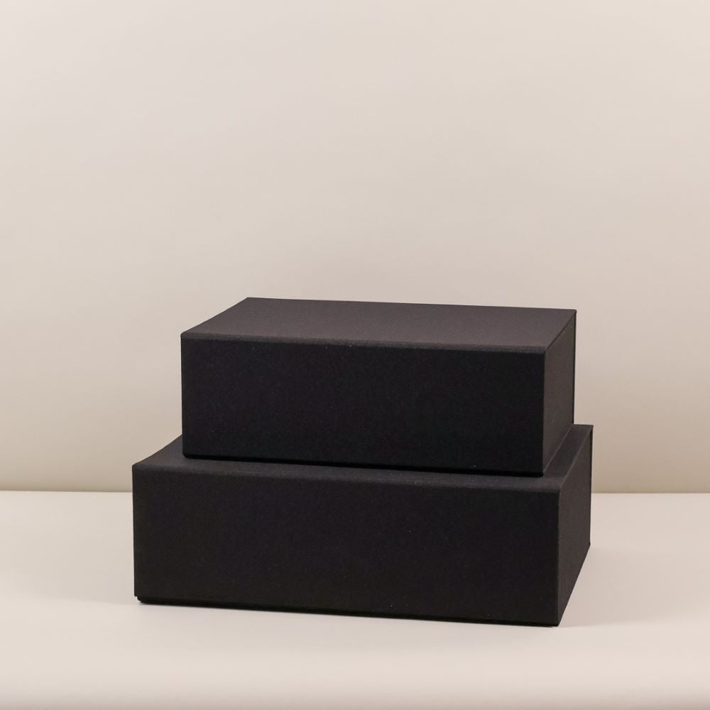 Leinenbox Smart schwarz